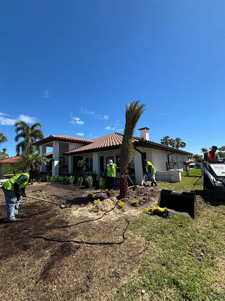 Custom yard maintenance for beautiful yards across St. Petersburg, FL - Pro Green Grounds Maintenance