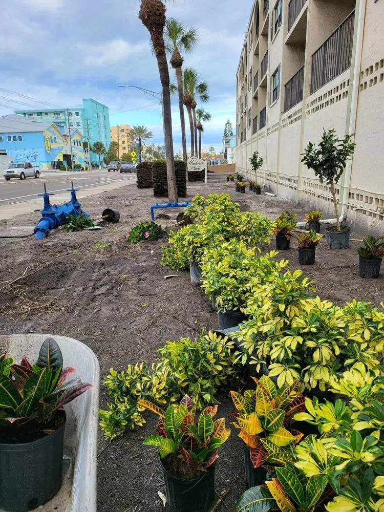 Affordable outdoor landscaping for homes in St. Petersburg, FL by Pro Green Grounds Maintenance