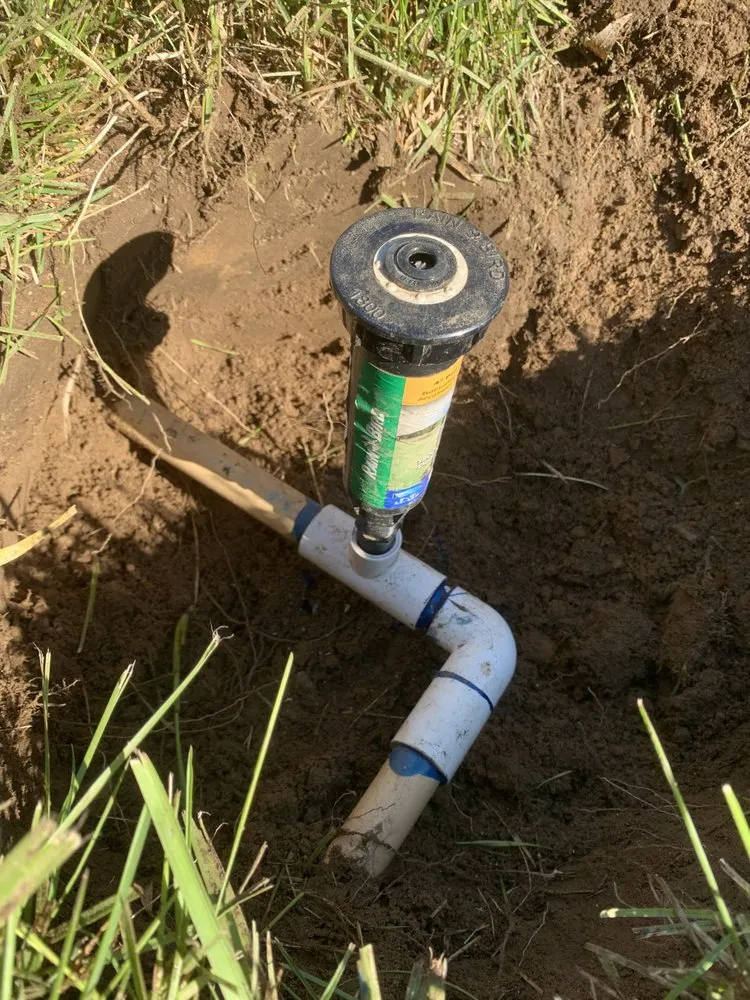 Trusted landscape installation experts serving Lancaster, CA - Pro Green Landscape