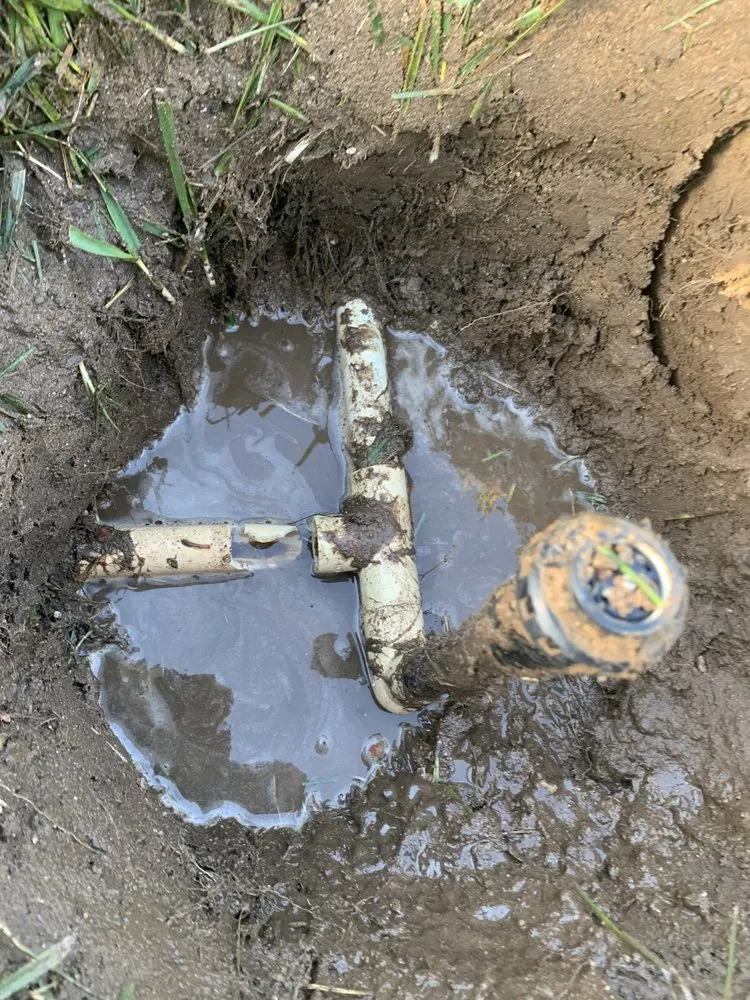 Trusted residential landscaping in Lancaster, CA - Pro Green Landscape