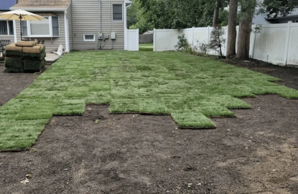 Affordable yard cleanup service experts serving Lancaster, CA - Pro Green Landscape