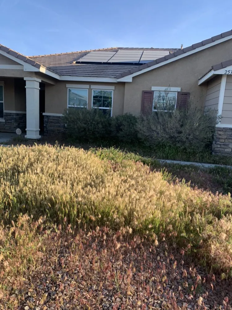 Reliable garden landscaping for year-round maintenance across Lancaster, CA - Pro Green Landscape