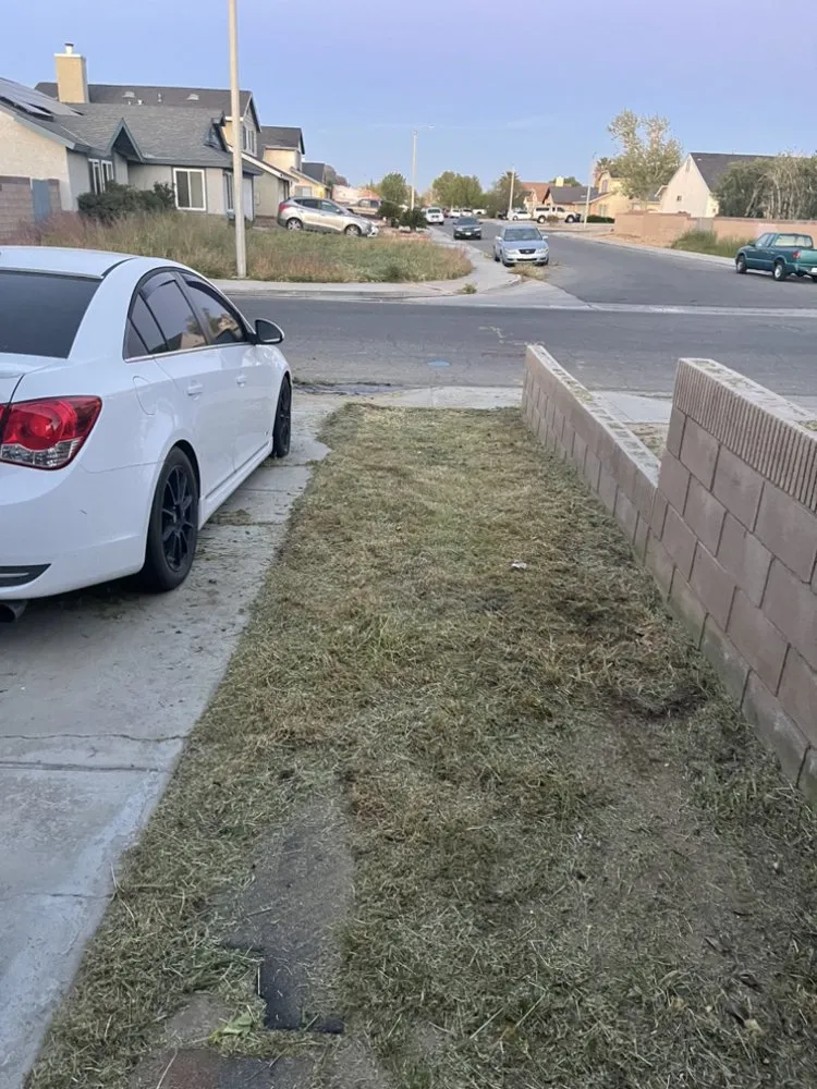 Affordable landscape design for residential properties in Lancaster, CA by Pro Green Landscape