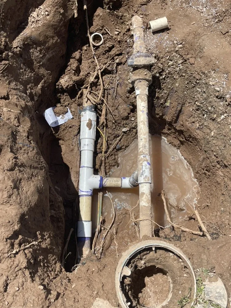 Top-rated yard cleanup service in Lancaster, CA by Pro Green Landscape