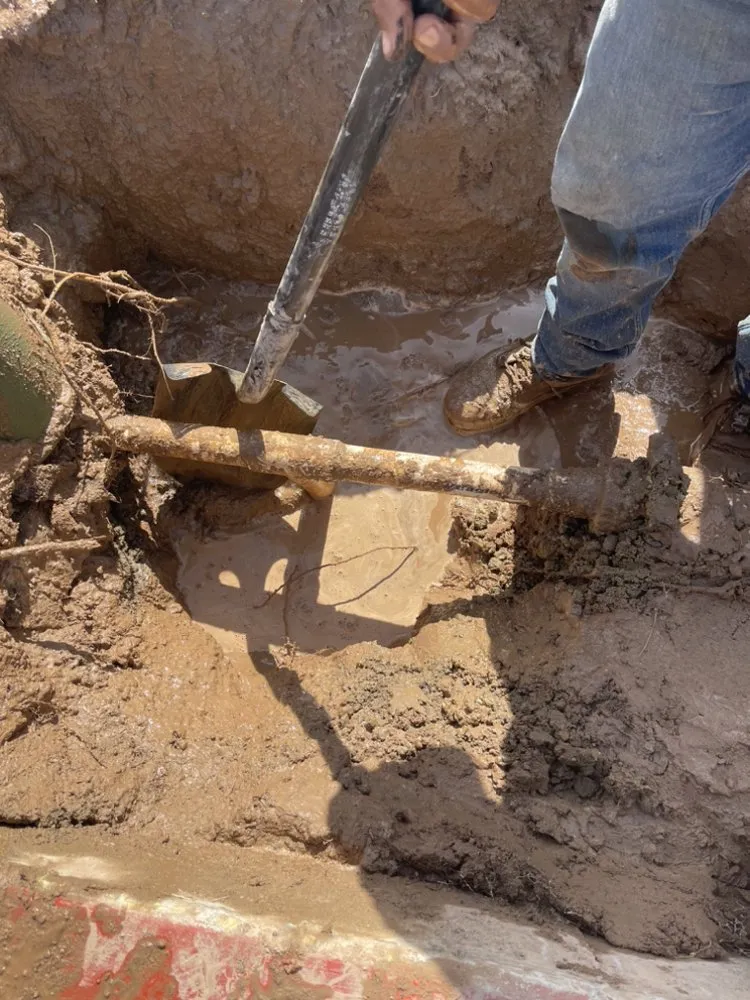 Affordable garden landscaping for residential properties in Lancaster, CA by Pro Green Landscape