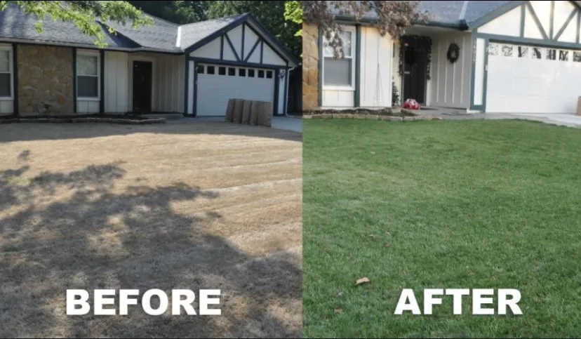 Custom yard maintenance with custom design across Lancaster, CA - Pro Green Landscape