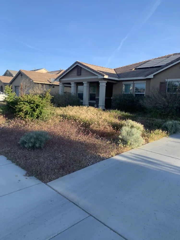 Affordable landscaping services in Lancaster, CA - Pro Green Landscape
