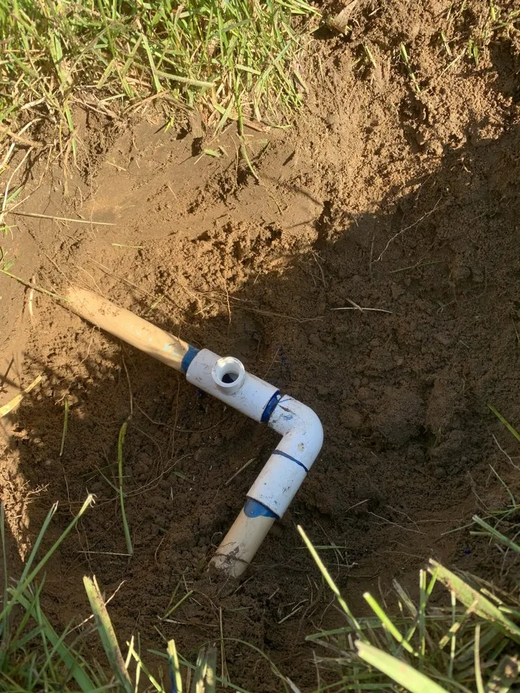 Professional yard cleanup service in Lancaster, CA - Pro Green Landscape