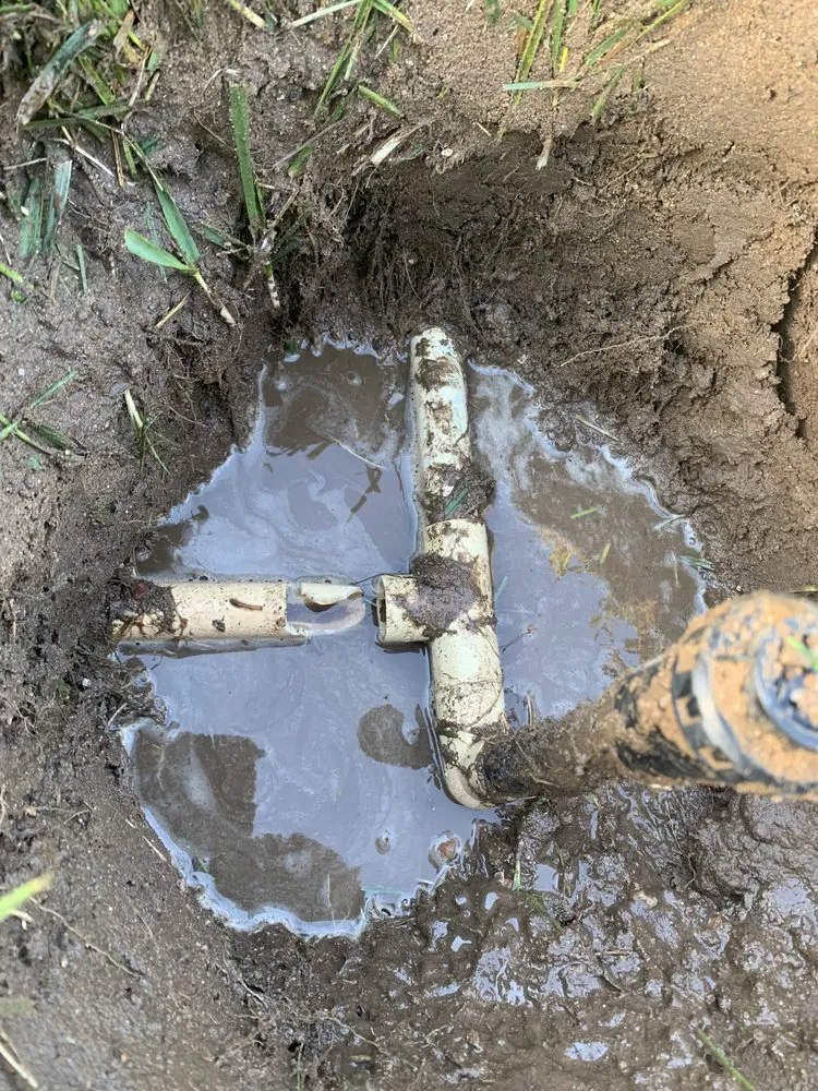 Trusted yard cleanup service for residential properties in Lancaster, CA by Pro Green Landscape