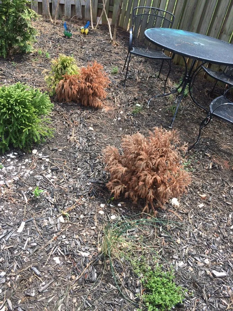 Reliable garden landscaping in Suwanee, GA by Pro-Green Landscape Management