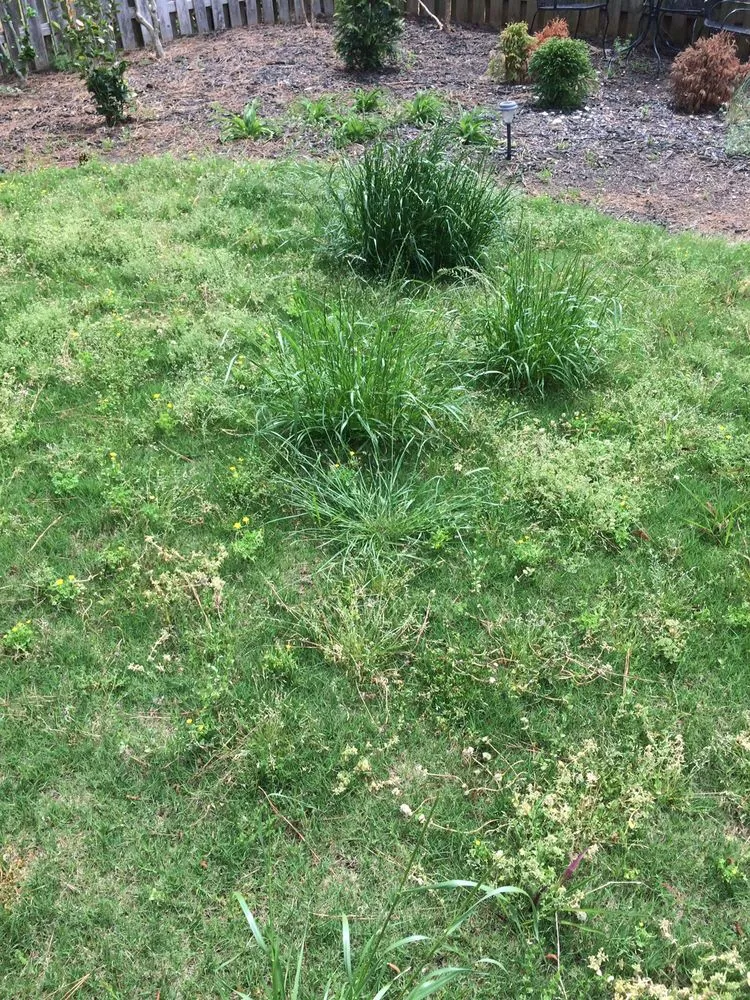 Affordable garden landscaping experts serving Suwanee, GA - Pro-Green Landscape Management