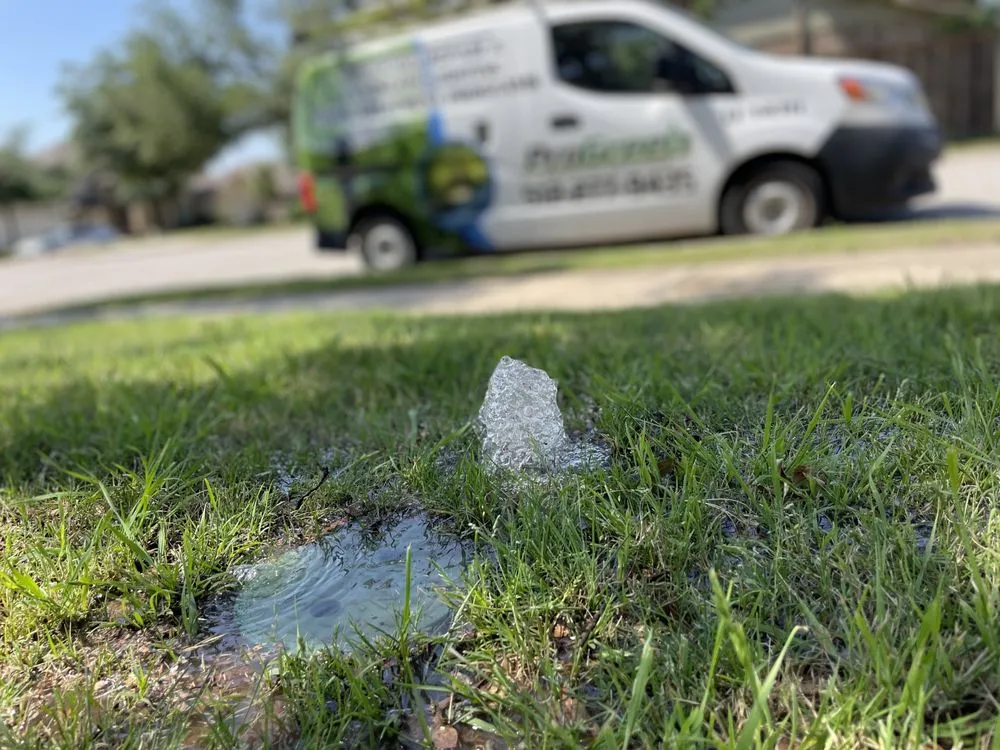 Expert yard cleanup service in Dallas, TX - Pro Green Landscape Solutions
