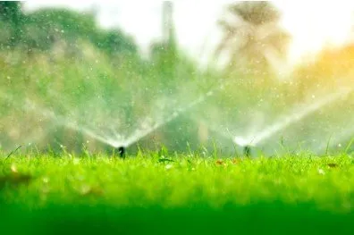 Reliable landscaping services for outdoor upgrades across Dallas, TX - Pro Green Landscape Solutions