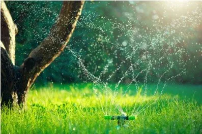 Custom lawn mowing service in Dallas, TX by Pro Green Landscape Solutions