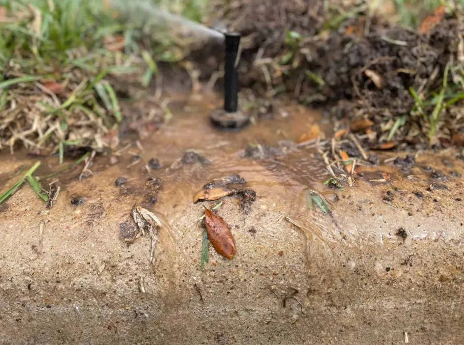 Affordable lawn care service near you across Dallas, TX - Pro Green Landscape Solutions