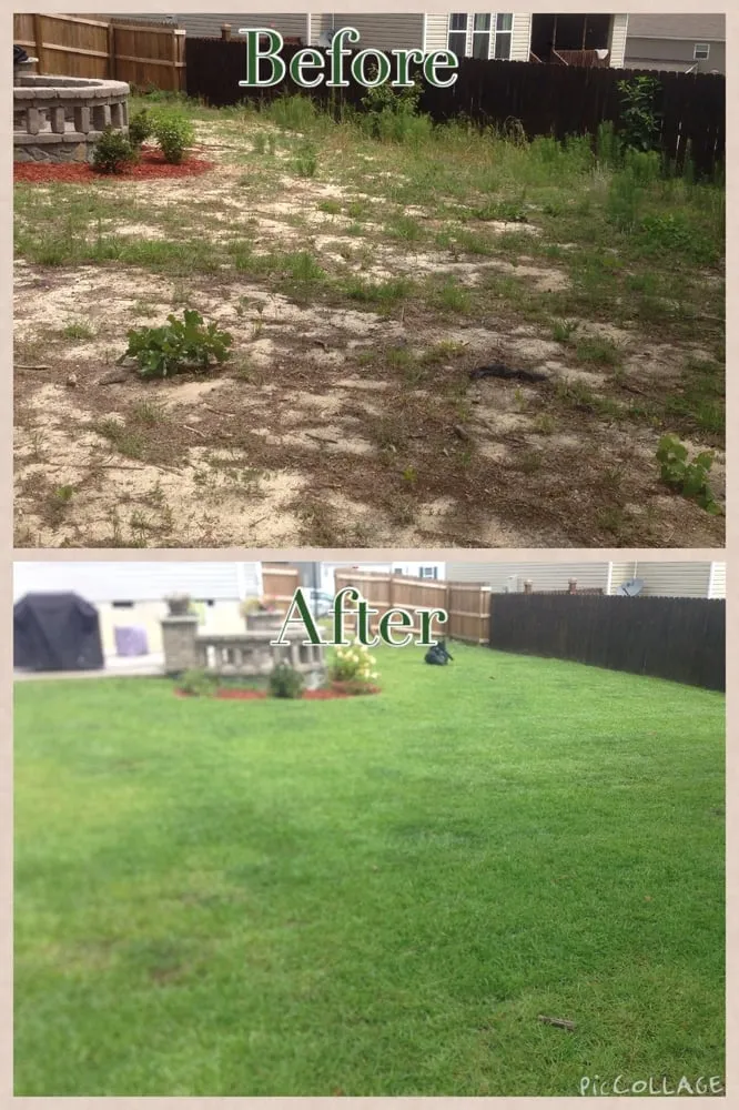 Affordable yard maintenance near you in Columbia, SC by Pro Green Landscaping