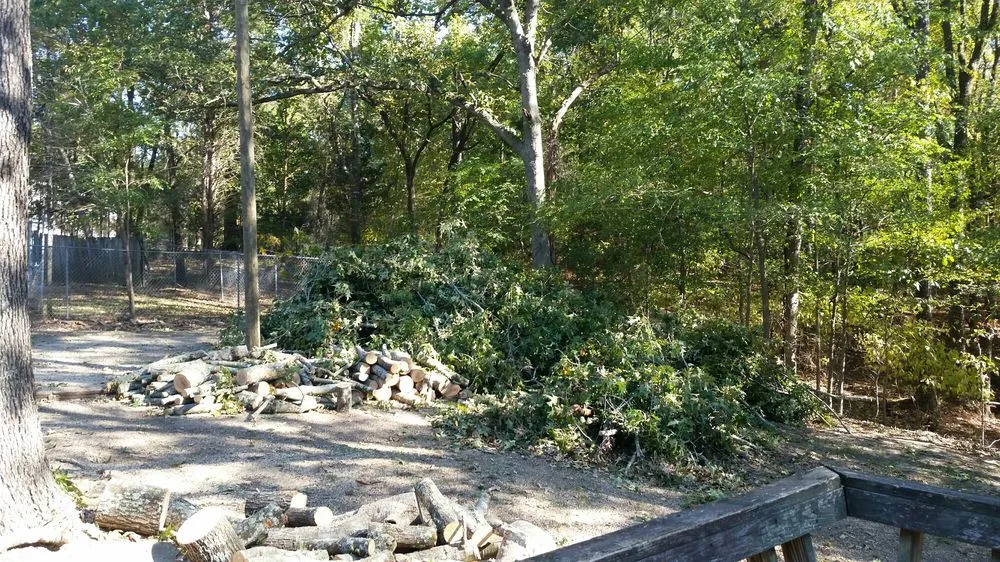 Professional landscaping services for year-round maintenance in West Columbia, SC by Pro Green Outdoors