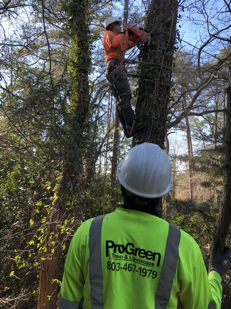 Reliable lawn care service near you across West Columbia, SC - Pro Green Outdoors