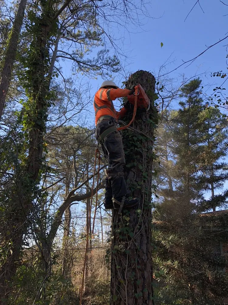 Custom landscape design in West Columbia, SC by Pro Green Outdoors