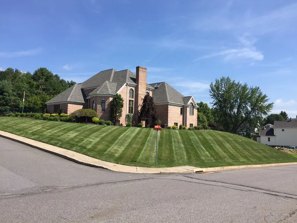 Trusted yard cleanup service experts serving Old Forge, PA - Pro Gro Landscape Specialists