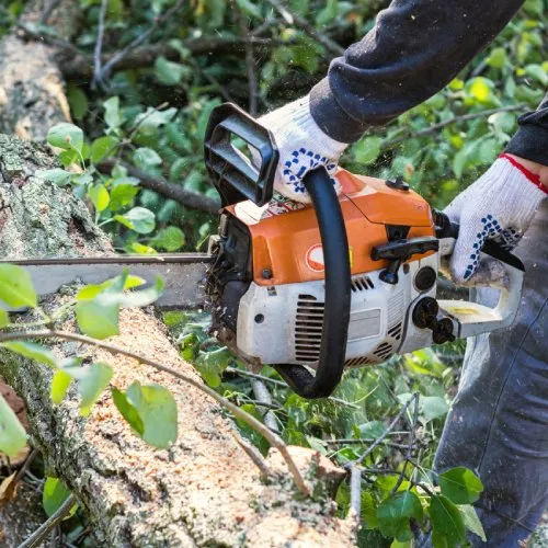 Custom landscaping services for beautiful yards in Avondale, AZ by Pro Ground Control