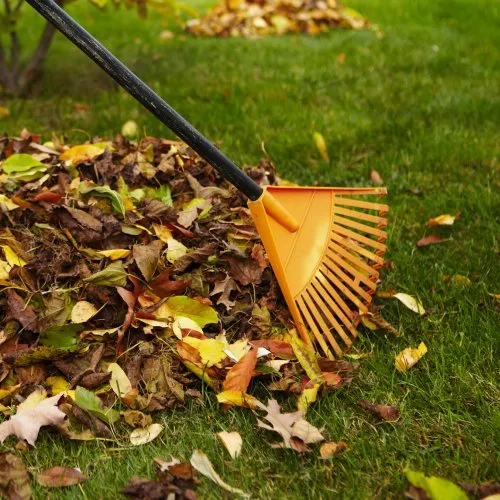 Reliable landscape installation in Avondale, AZ - Pro Ground Control