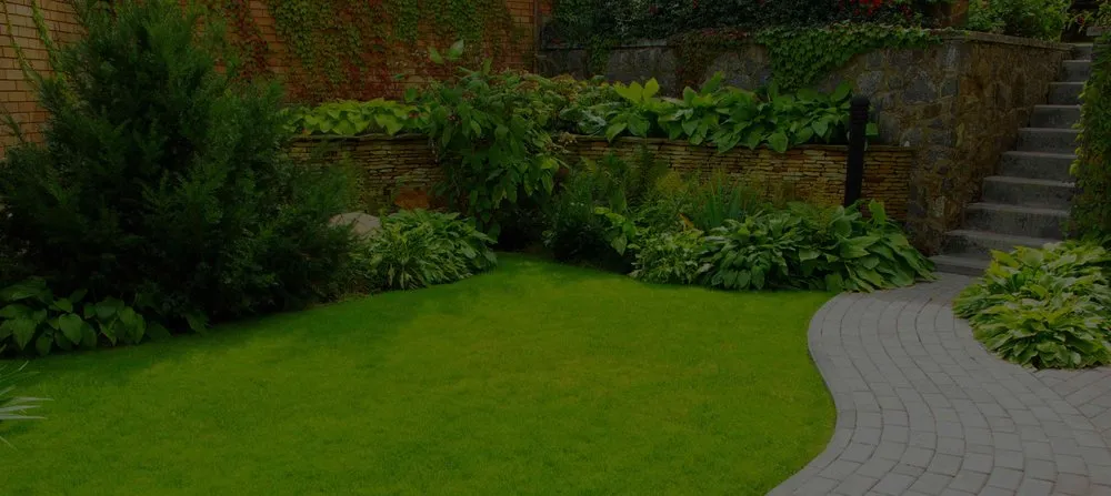 Affordable landscape installation with custom design across Avondale, AZ - Pro Ground Control