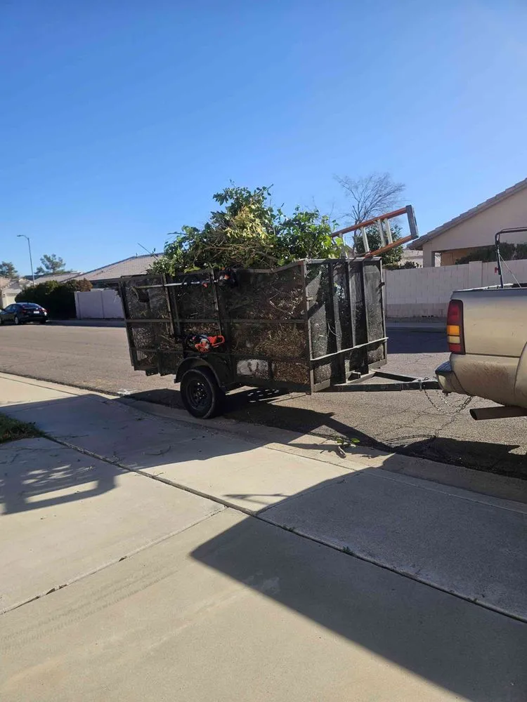 Local lawn care service for residential properties across Avondale, AZ - Pro Ground Control