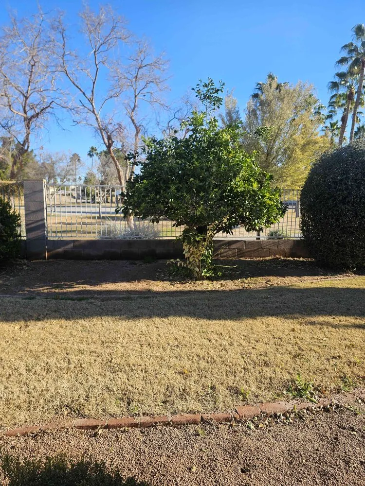 Top-rated outdoor landscaping in Avondale, AZ by Pro Ground Control