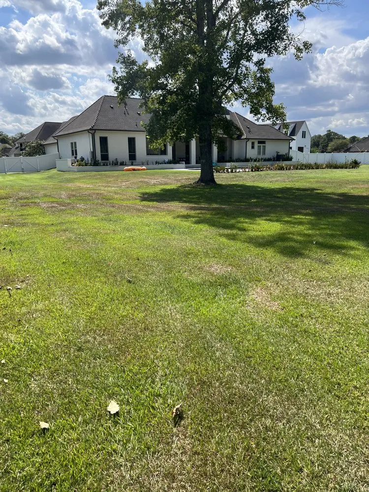 Professional landscaping services experts serving Central, LA - Pro Guide Lawn Maintenance