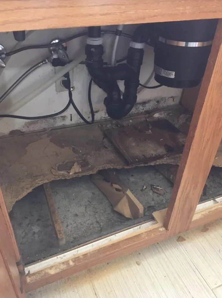 Expert outdoor landscaping experts serving Calhoun, GA - Pro Gutter Remodelers