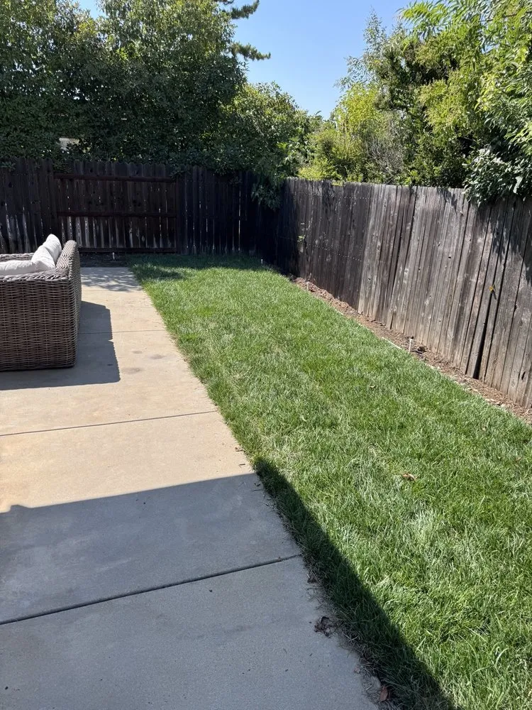 Reliable residential landscaping for beautiful yards in Sacramento, CA by Pro Hardscape and Landscape