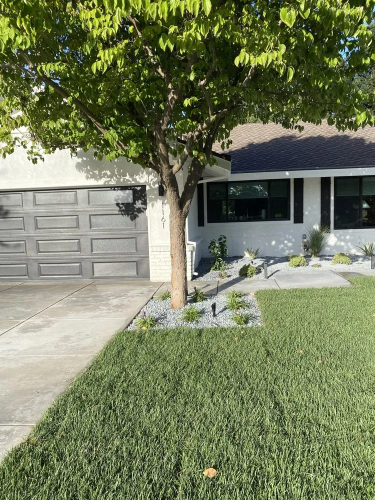 Reliable lawn care service in Sacramento, CA - Pro Hardscape and Landscape