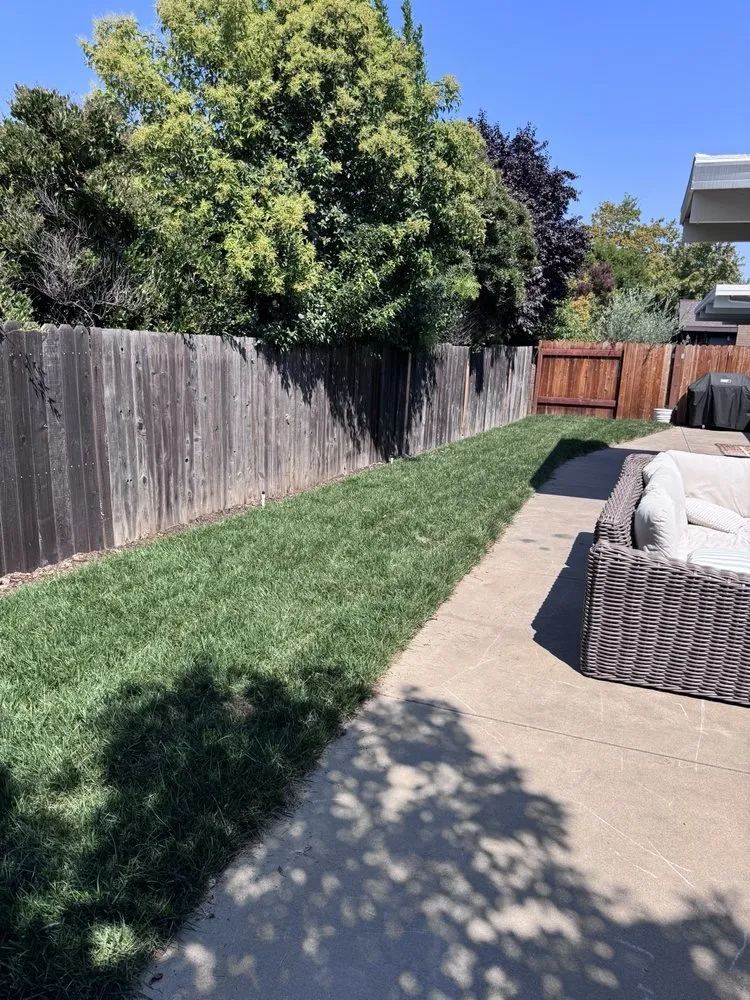 Trusted yard cleanup service for residential properties across Sacramento, CA - Pro Hardscape and Landscape