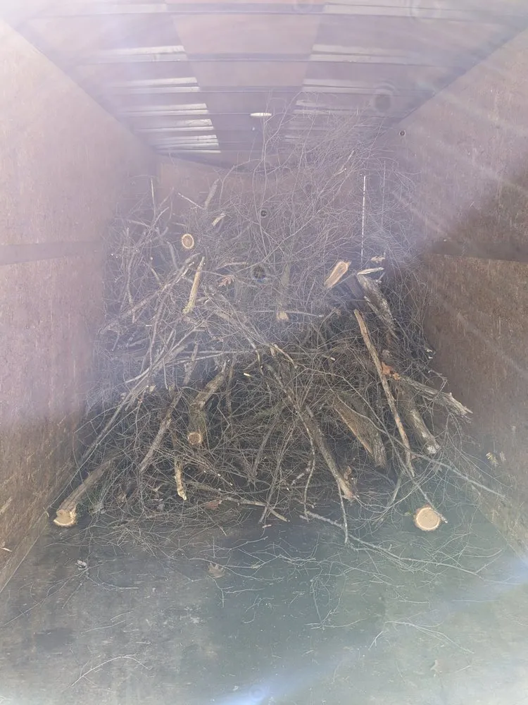 Reliable landscaping services in Detroit, MI by Pro Haul Away