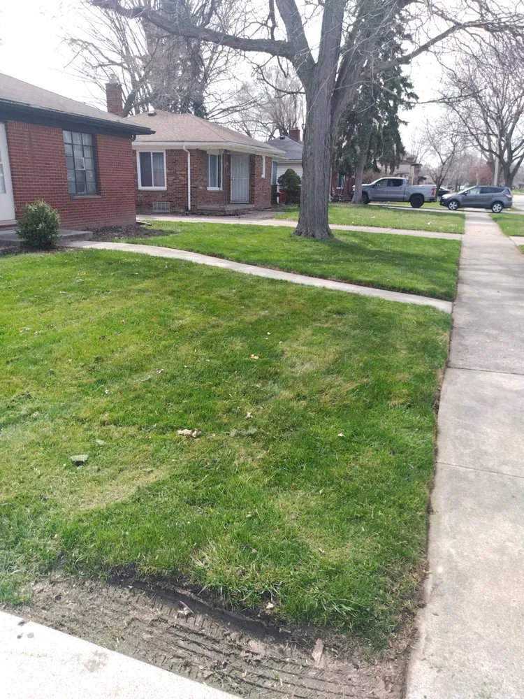 Custom lawn mowing service experts serving Detroit, MI - Pro Haul Away