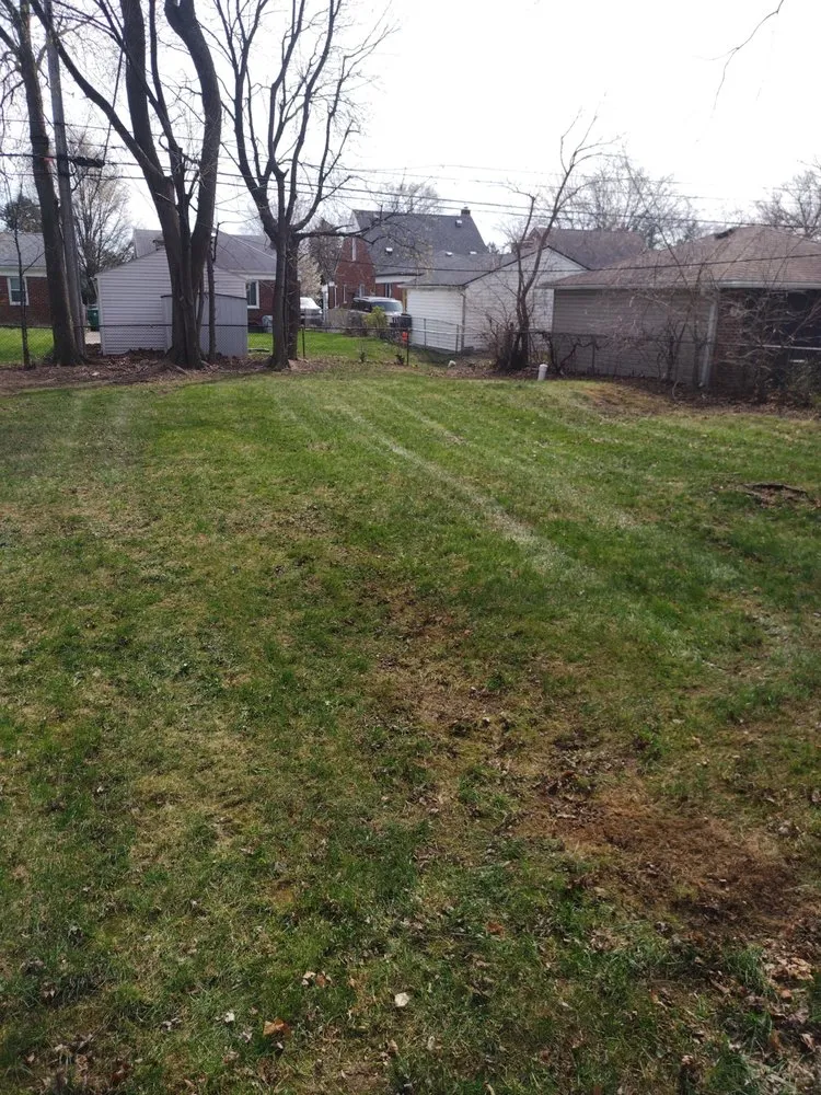 Trusted landscape design experts serving Detroit, MI - Pro Haul Away