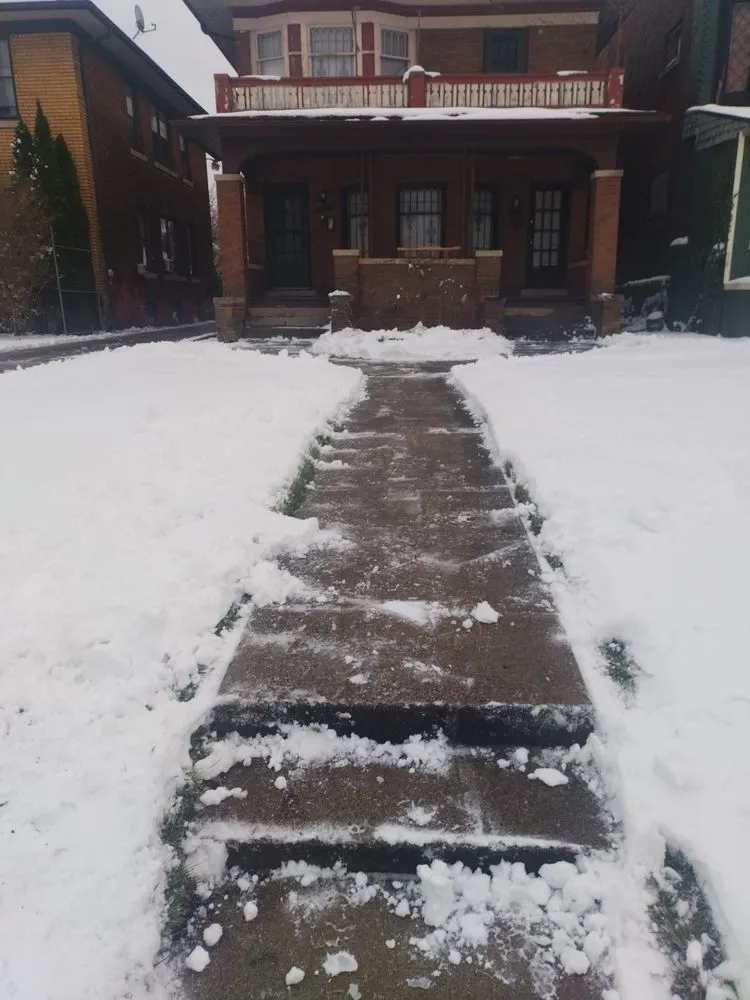 Reliable residential landscaping in Detroit, MI - Pro Haul Away