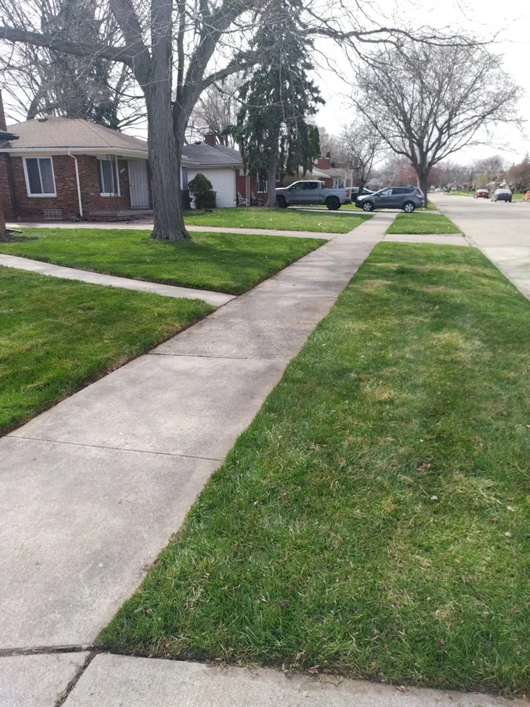 Trusted landscape design in Detroit, MI - Pro Haul Away