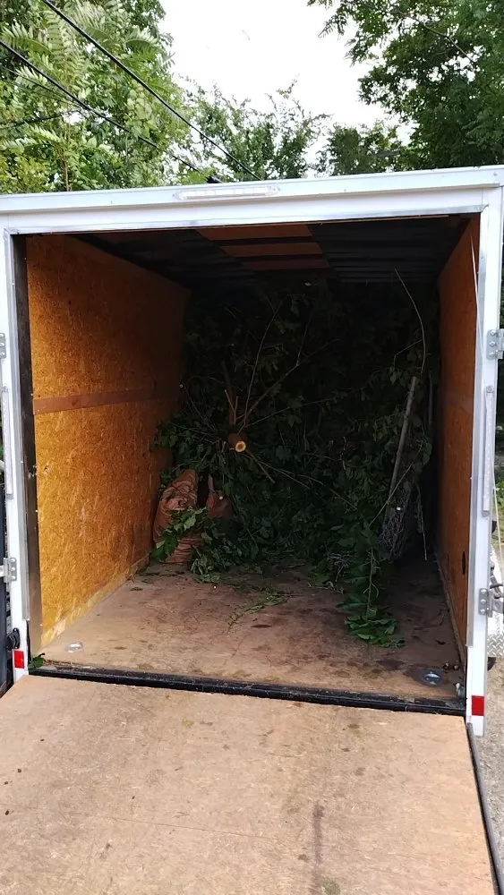 Top-rated landscape design for year-round maintenance in Detroit, MI by Pro Haul Away