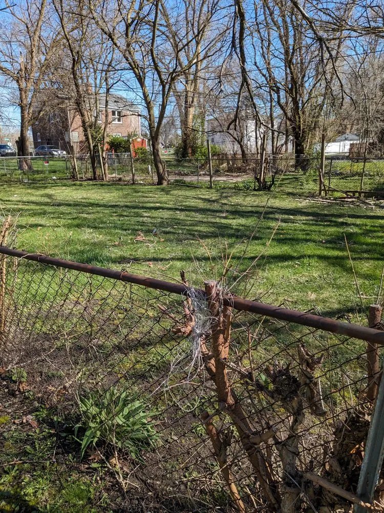 Local garden landscaping in Detroit, MI by Pro Haul Away