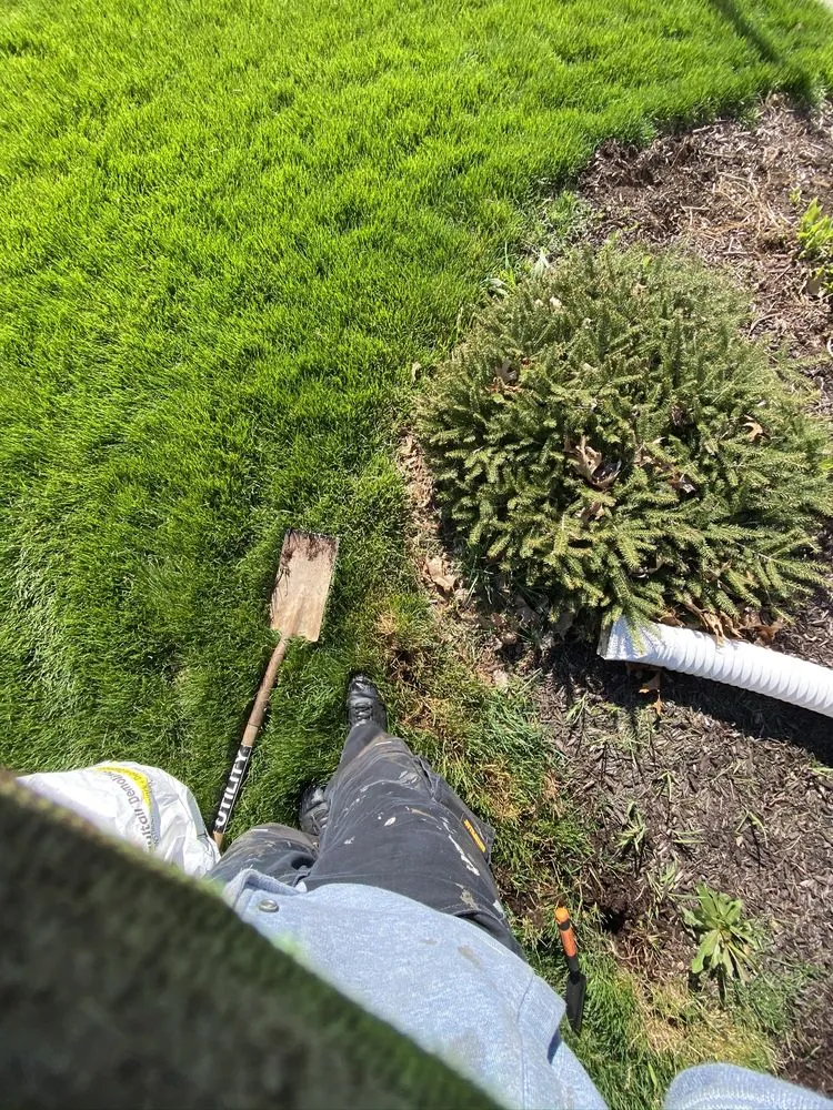 Professional lawn mowing service in South Bend, IN by Pro Investments