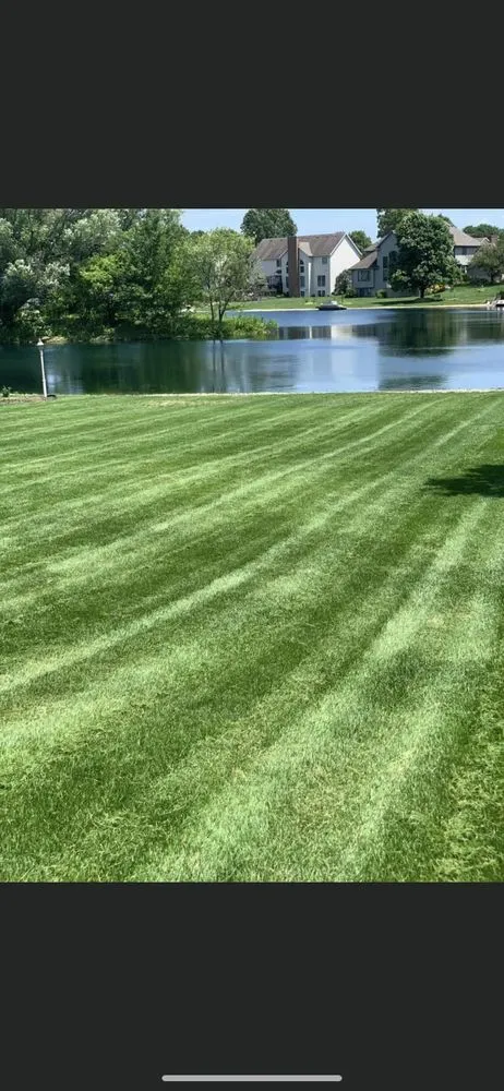 Affordable yard cleanup service experts serving South Bend, IN - Pro Investments