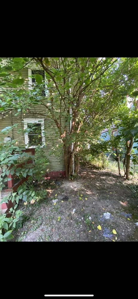 Affordable yard cleanup service in South Bend, IN - Pro Investments