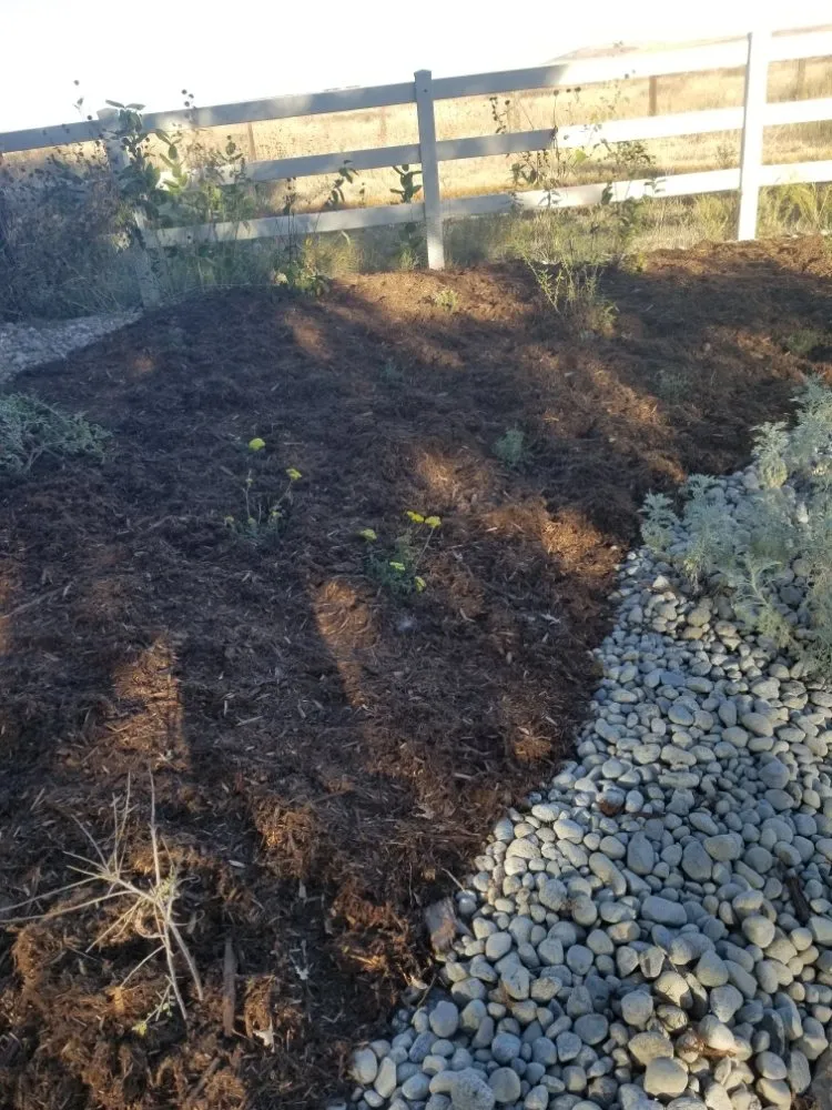 Local landscape design for outdoor upgrades in Aurora, CO by Pro Irrigation Services