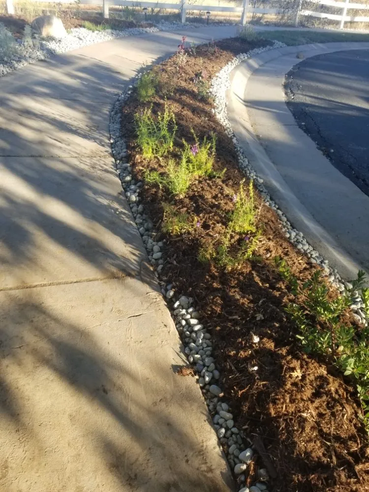 Affordable yard cleanup service for beautiful yards across Aurora, CO - Pro Irrigation Services