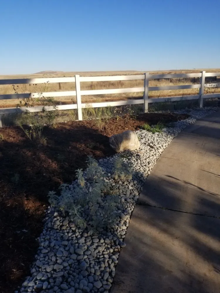 Affordable residential landscaping experts serving Aurora, CO - Pro Irrigation Services