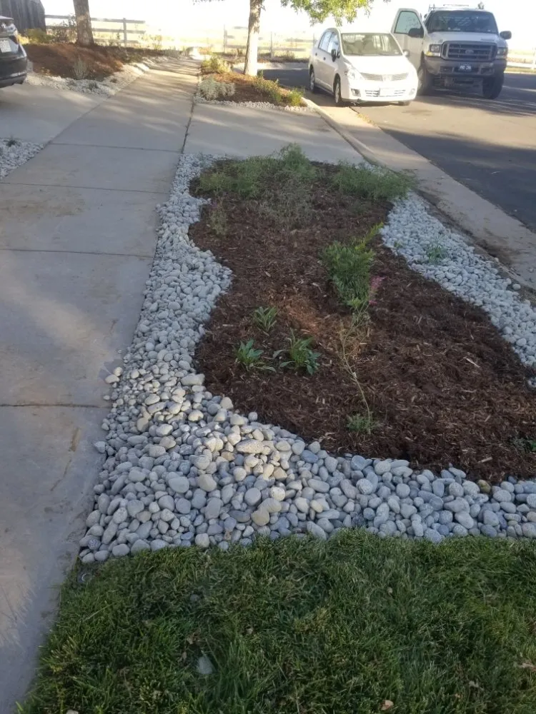Professional landscape installation in Aurora, CO by Pro Irrigation Services