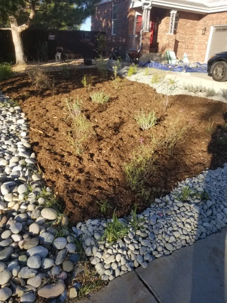 Reliable lawn mowing service for homes in Aurora, CO by Pro Irrigation Services