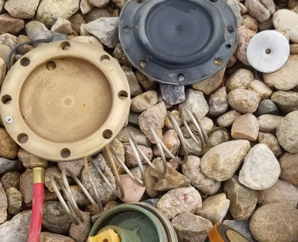 Expert yard maintenance in Aurora, CO - Pro Irrigation Services